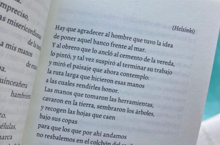 «La novia de Sandro» de Camila Sosa Villada